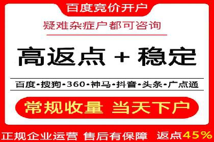 百度竞价广告投放技巧揭秘